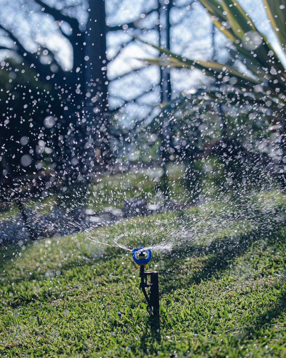 Rasenregner im Einsatz, Wasserstrahl über grünem Rasen