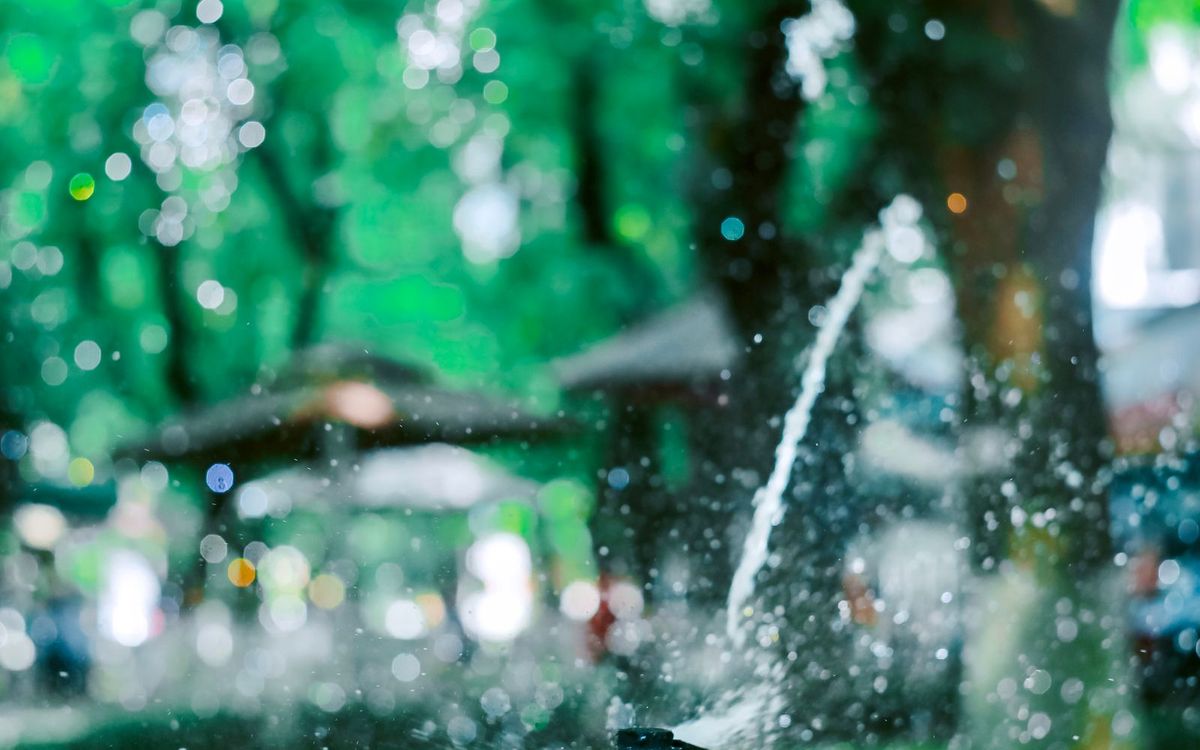 Impulsregner bewässert einen Rasen, Wassertropfen im Gegenlicht